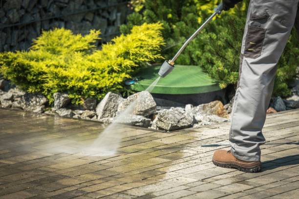 Best Gutter Cleaning  in Burns Flat, OK